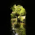 Eco Surflodge Azores Деревянный коттедж