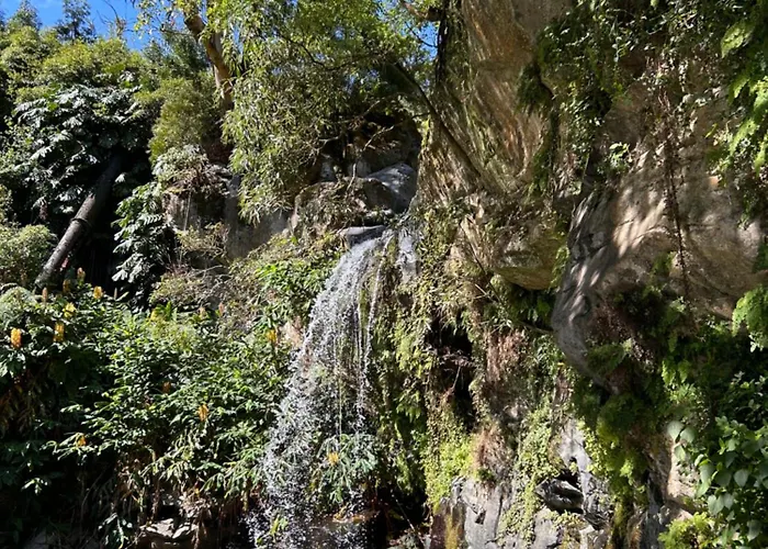 Eco Surflodge Azores * Ribeira Grande